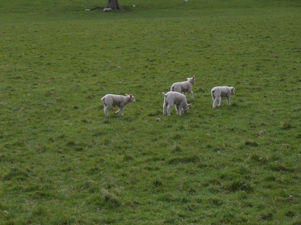 14april14addingham