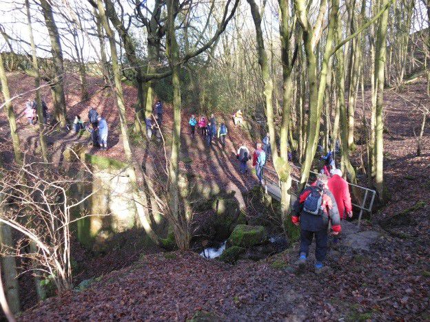 silsden 19jan2015 into the woods we go